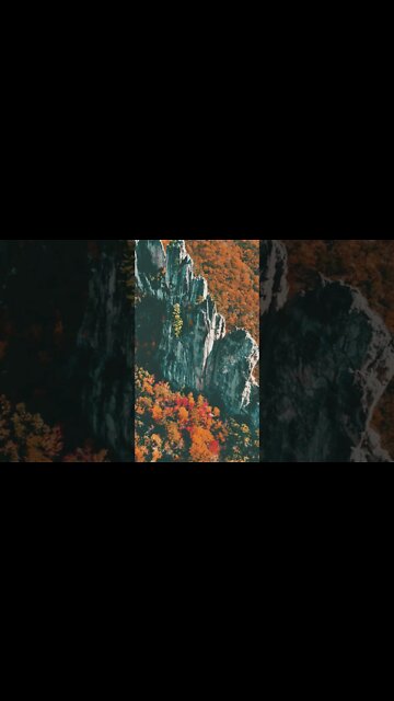 The Same Faith That's In Jesus Is In You - John 15:5