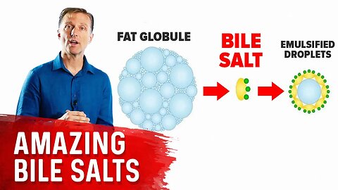 The 9 Benefits of Bile Salts