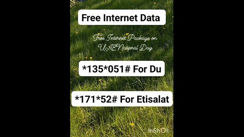 UAE National Day Free Data