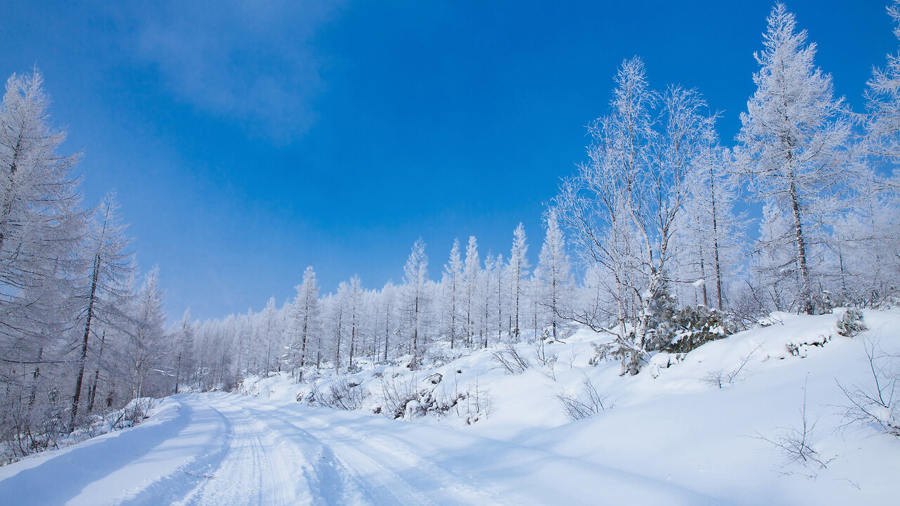 The most perfect snow way in the world ❤️