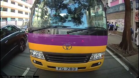 Tree vs Bus.