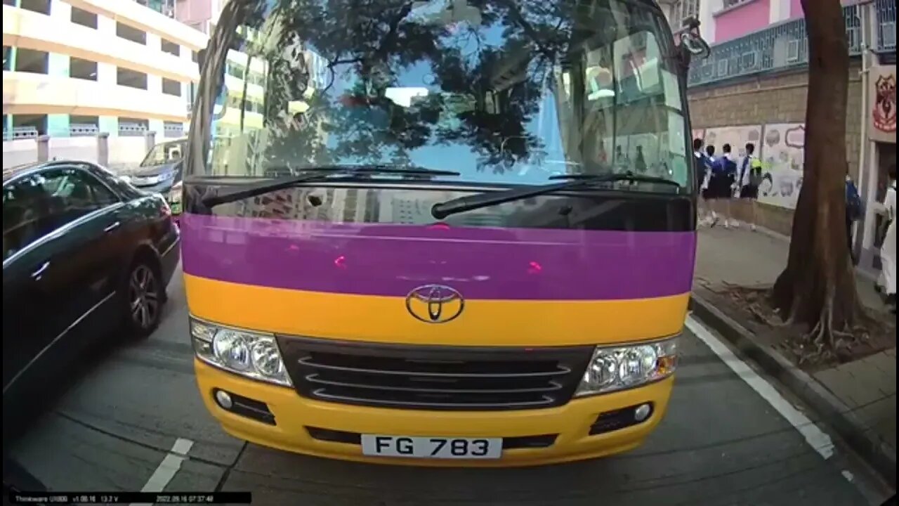 Tree vs Bus.