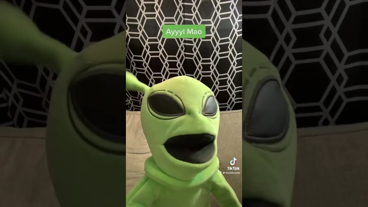 How Whacky puppets cope with life