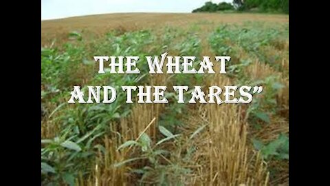 20170326 THE WHEAT & THE TARES