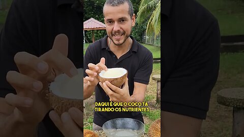 MAÇÃ DO COCO SECO GERMINADO! FRUTAS RARAS TAILANDIA