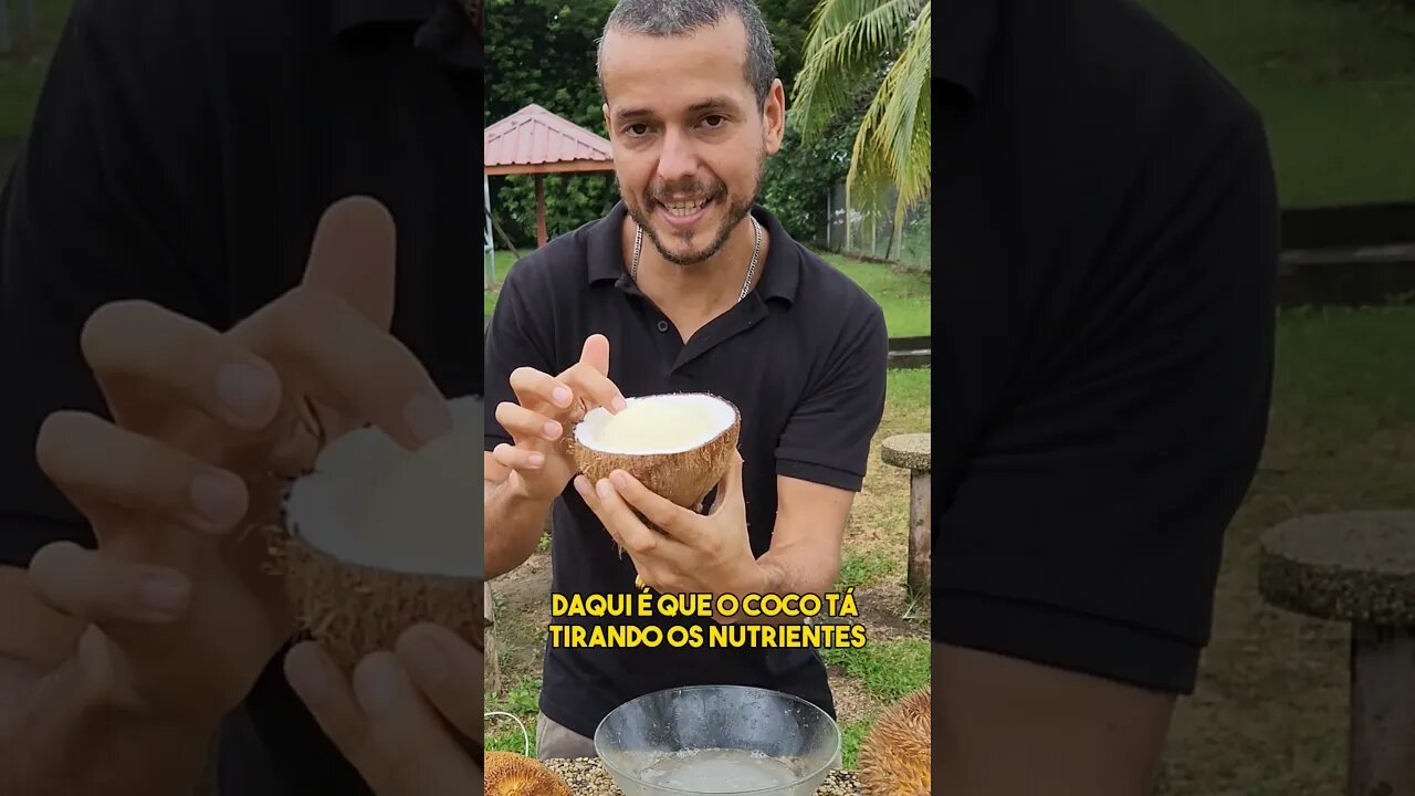 MAÇÃ DO COCO SECO GERMINADO! FRUTAS RARAS TAILANDIA