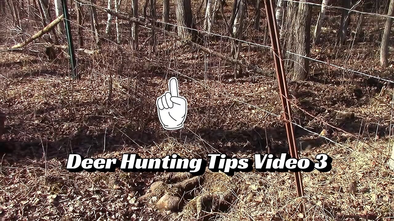 $50 Amazon Gift Card Giveaway #6 Deer Hunting Tips Video 3