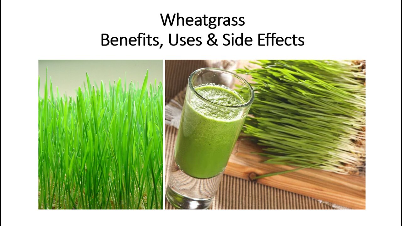 Wheatgrass - Benefits, Uses & Side Effects