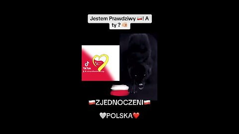 Jestem prawdziwy 🇵🇱‼️A ty ?🫵🏻