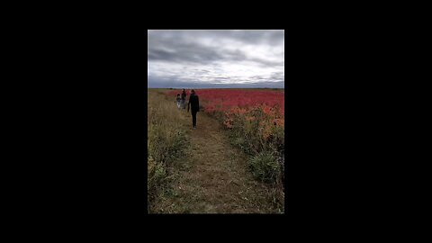 Autumn on the Prairie