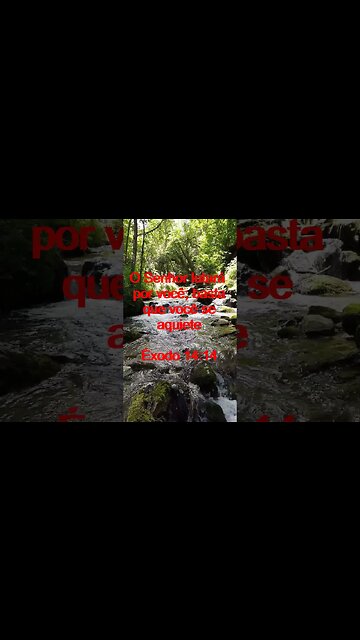 Verso Do Dia | Leitura Inspiradora Para Começar Seu Dia. | 68