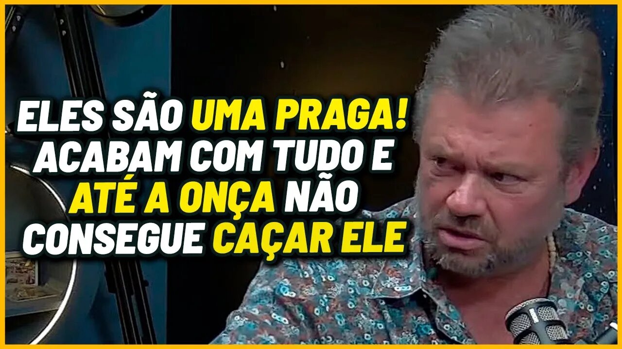 O ANIMAL MAIS PERIGOSO DO BRASIL | React Podcast Pro