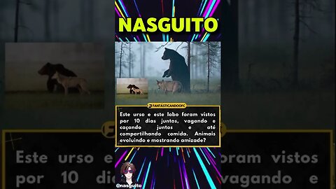 Memes em imagens - TIME AMIZADE #shorts