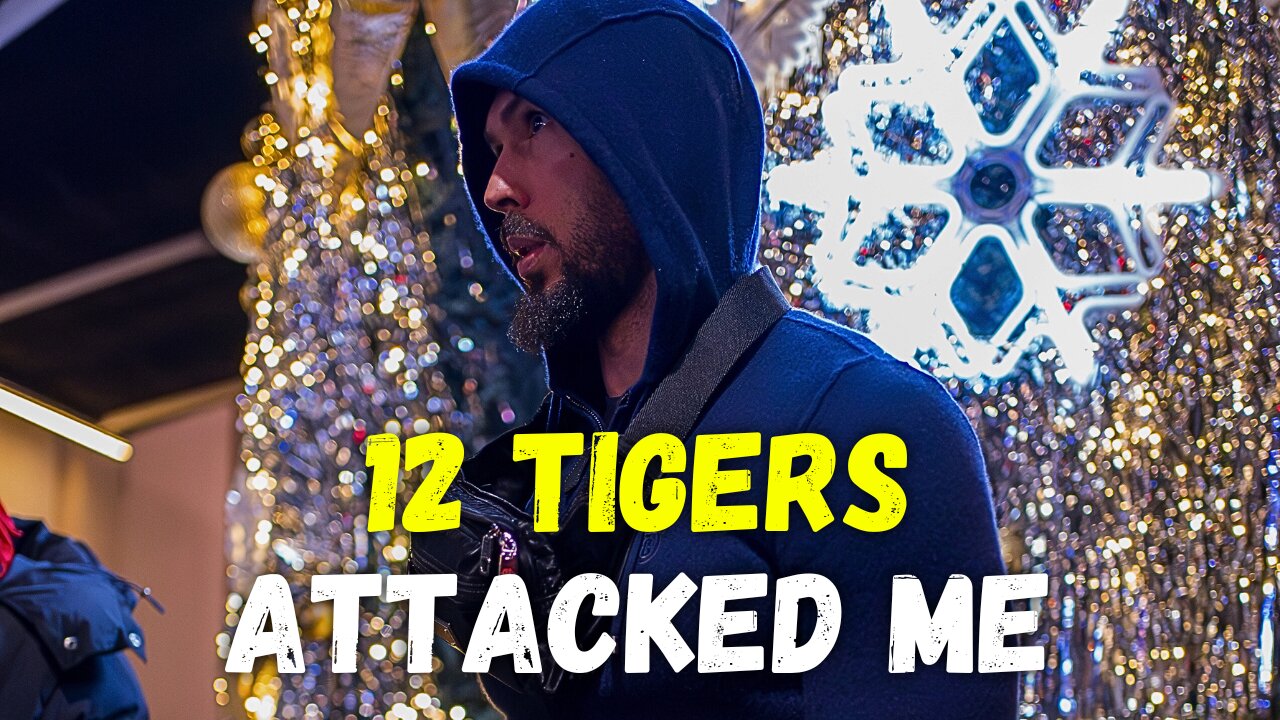 Andrew Tate's University - When Andrew Tate Got Attacked By 12 Tigers