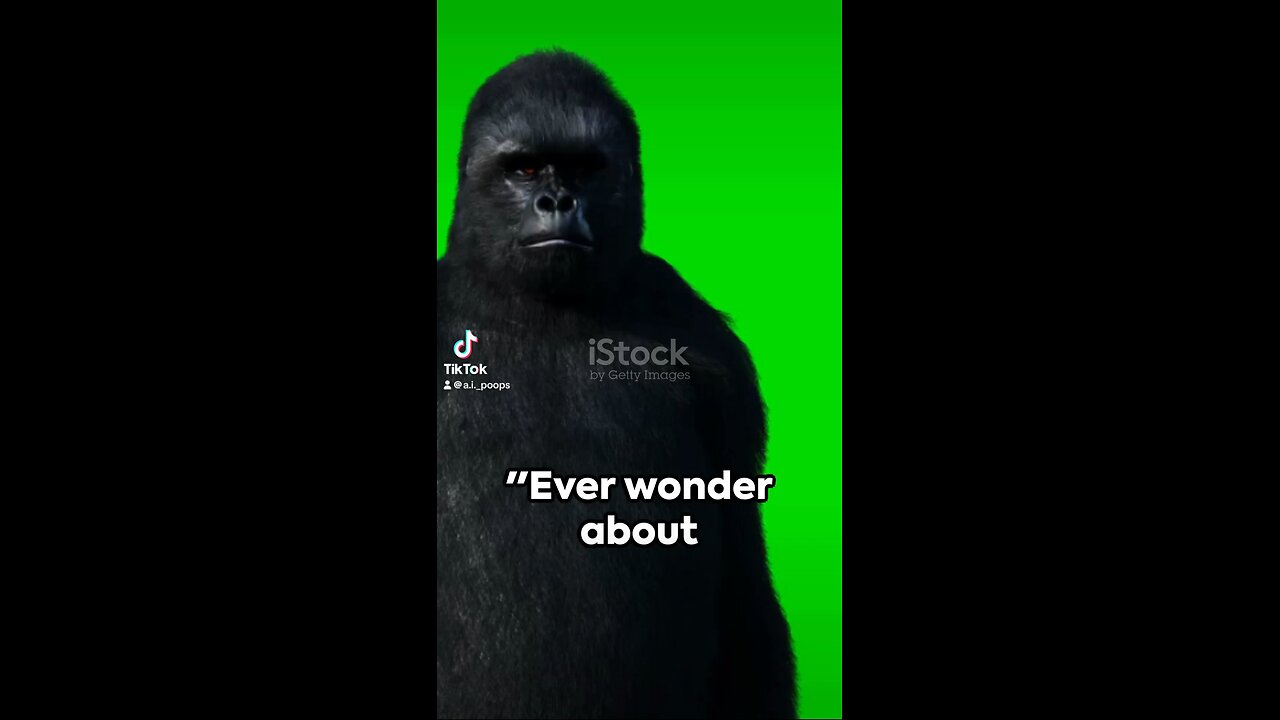 The Smartest Gorilla: A Quick Dive into KoKo