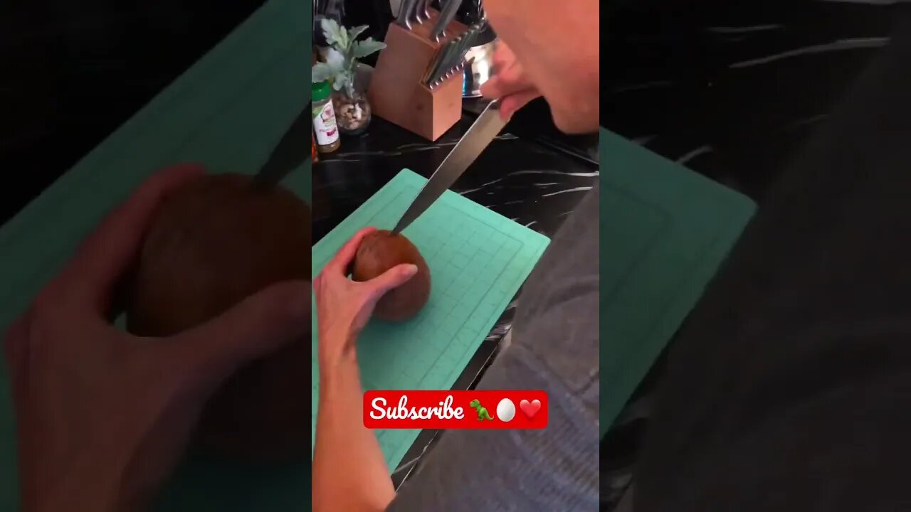 Dinosaur Egg 🦖🥚❤️😀👍 #shorts #viral #trending #tiktok #mameysapote