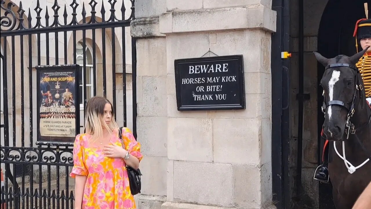 She is so scared the horse did not move and she jumps 😆 🤣 😂 #horseguardsparade