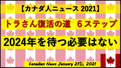 【トラさん】復活の道 6ステップ 2024年を待つ必要はない