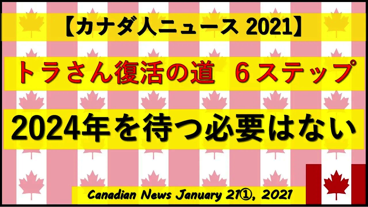 【トラさん】復活の道 6ステップ 2024年を待つ必要はない