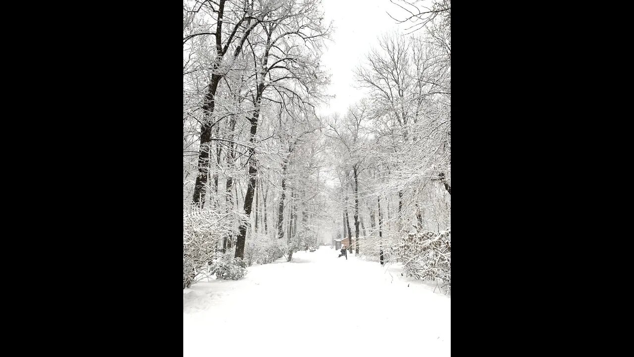 First Snowfall of the year 2022 #snow #snowfall #First_Snowfall_2022