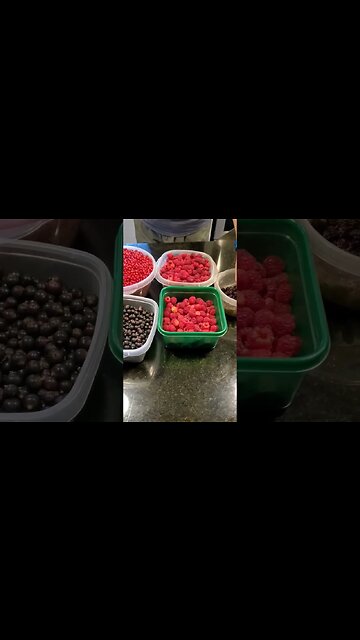 Today's Haul - What a relaxing Sunday