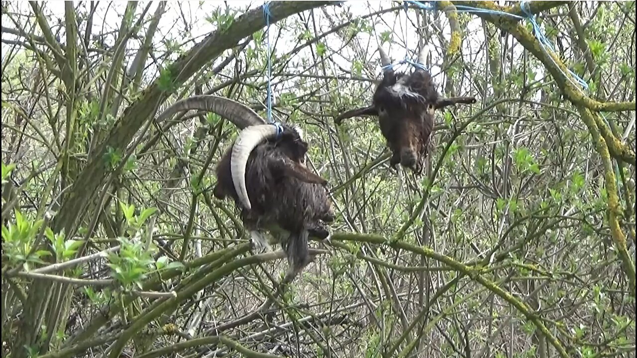 Április 1-i horgásztó mustra