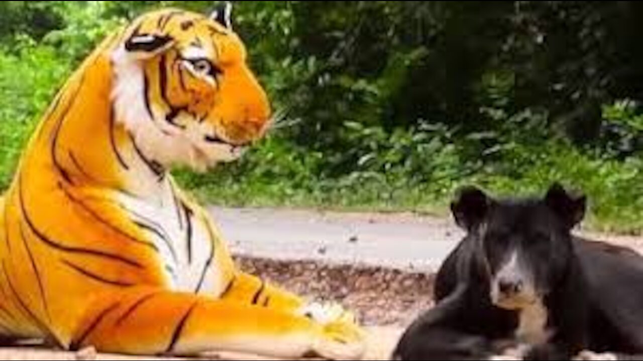 Scaring Dogs with FakeTiger,Animal Scare Videos