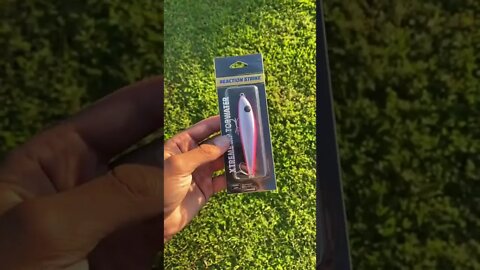 Pink TOPWATER lure for BASS???