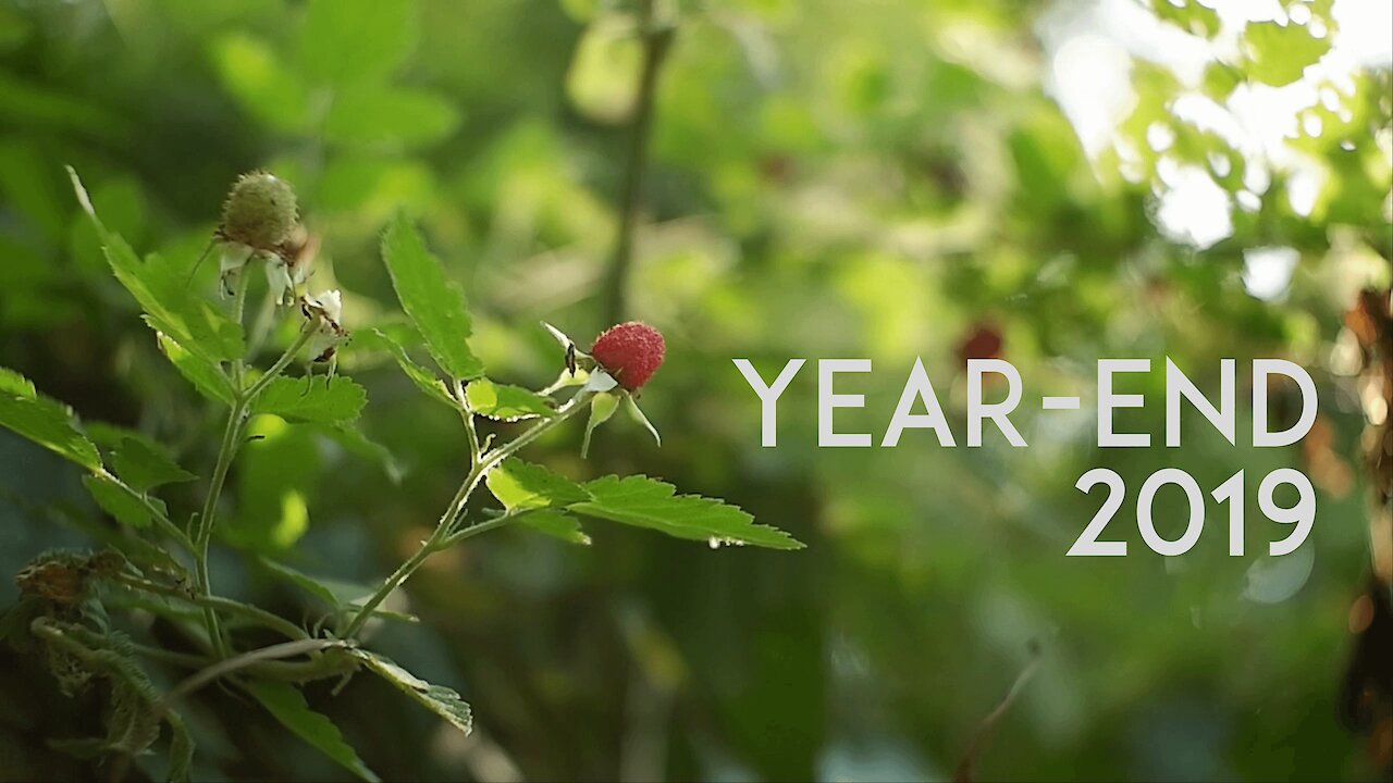 Year-End Video 2019