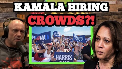 Is Joe Rogan Right About Kamala Harris' Fake Crowds?