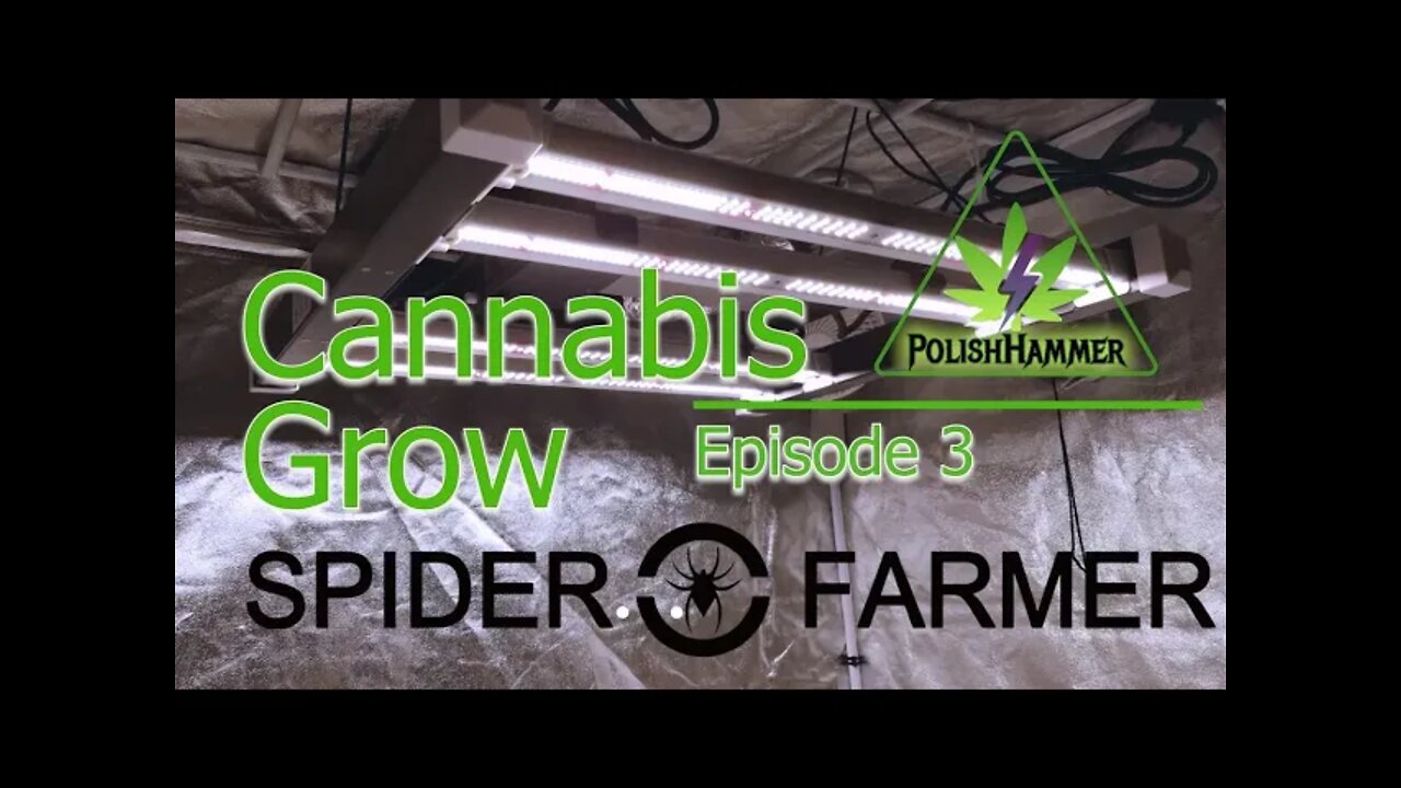 Spiderfarmer SE3000 Cannabis Grow Ep 3🔨 #SE3000 #SPIDERFARMER #420