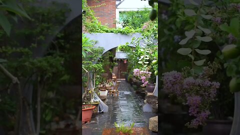 Flowers under rain, green garden 🤗