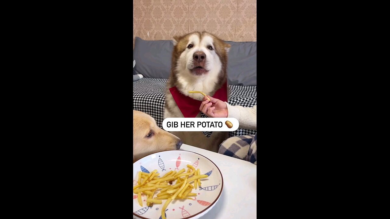 oh no way