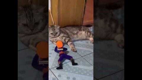 Funny cat having fun with a toy soldier