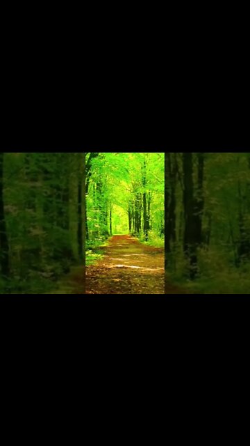 ORAÇÃO PARA FECHAR O CORPO