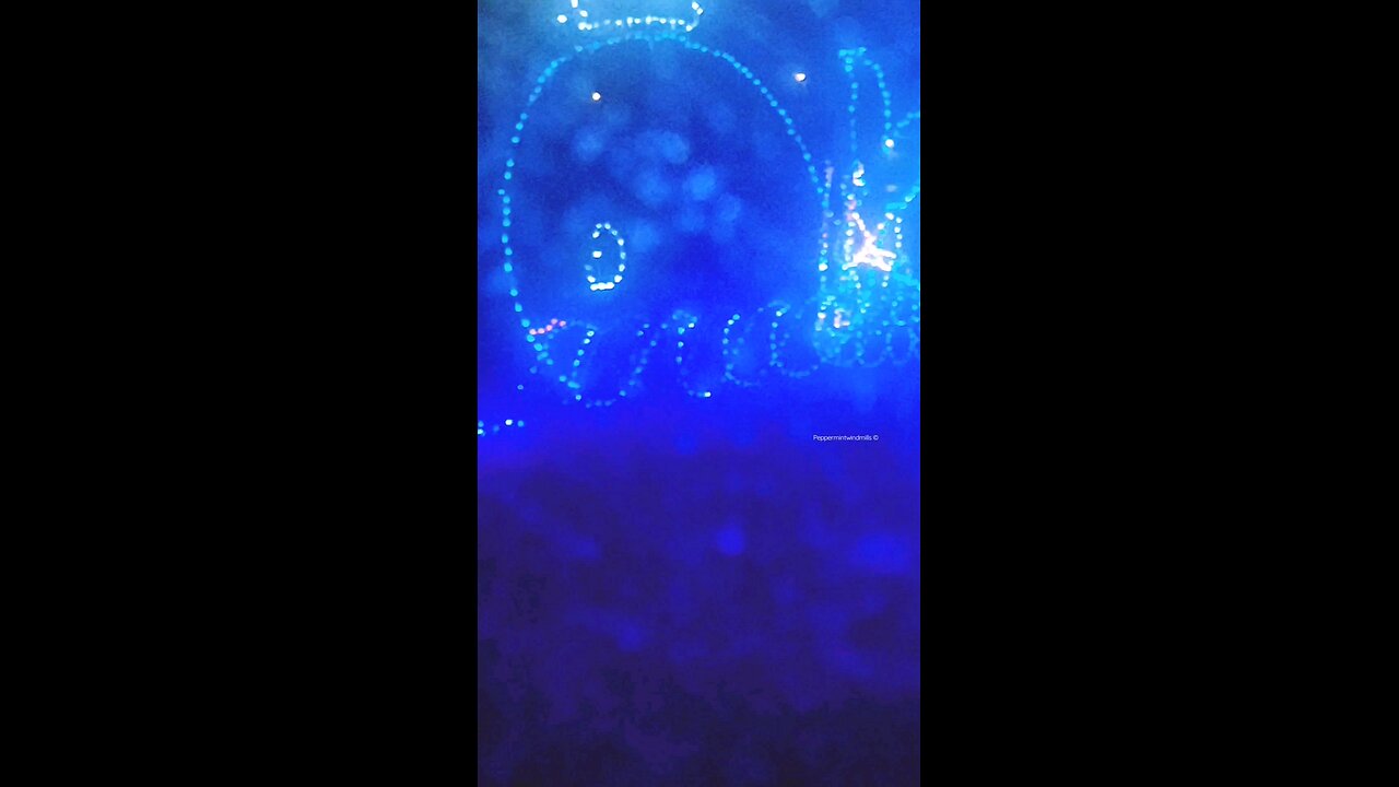 Whale 🐳 light up decoration 🔵