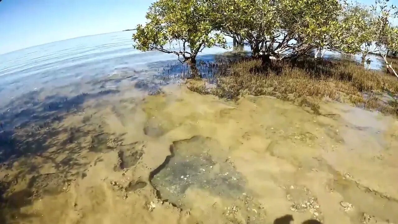 I Found The World's Deadliest Sea Creatures In Tide Pools-1