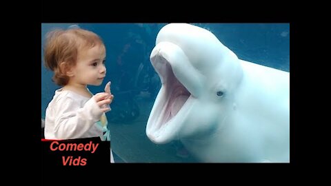 Funny Kids at the Aquarium | Girl SPOOKED By A Beluga Whale!