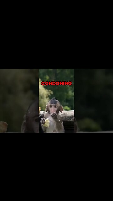 Costco Unveils Shocking Truth Behind Coconut Milk Monkey Labor Exposed