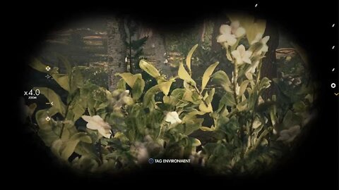 Sniper Elite 4_20220209192555