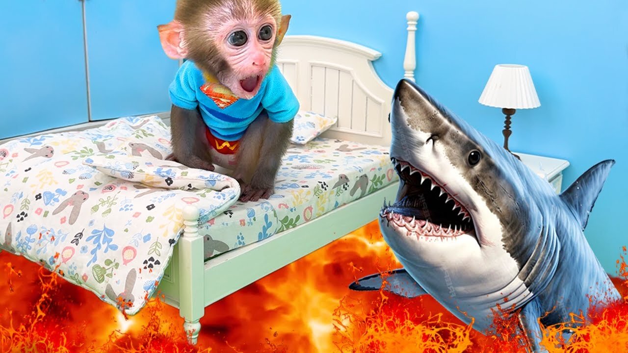 Monkey baby bon bon goes shark fishing and eats watermelon and ducklings in the garden