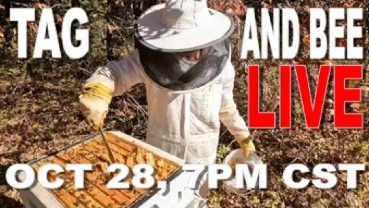 -LIVE WITH TAG AND BEE- OCT 28, 7PM CST