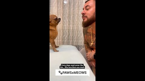 EVERY 🐶 NEEDS A OWNER like him😍