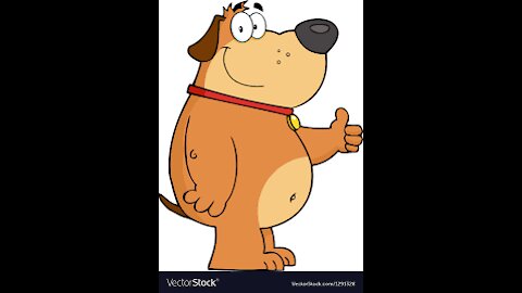 Funny Dog compilations Videos 2021 It's time to LAUGH with Dog's life