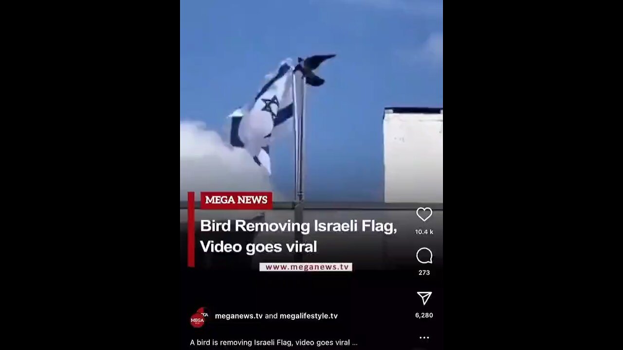A bird is removing Israeli flag