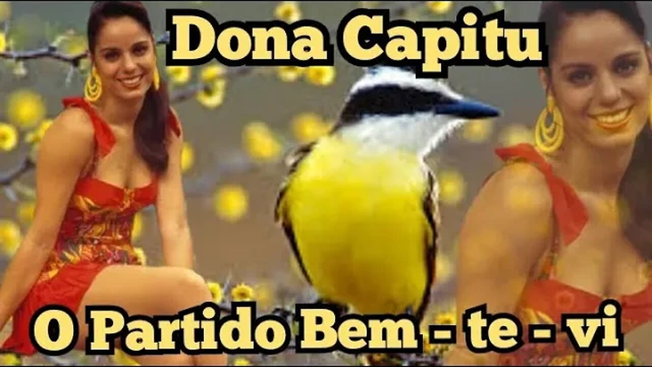 Escolinha do Professor Raimundo; Dona Capitu, o Partido Bem Te Vi.