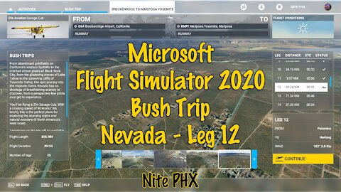 MSFS2020 Multiplayer Bush Trip Nevada Leg 12