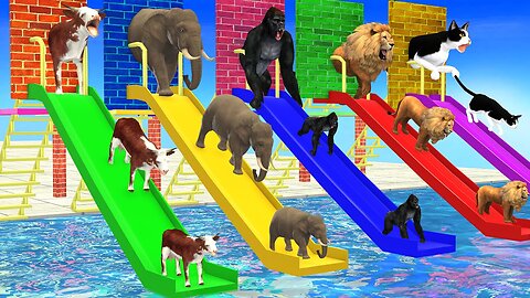 Don’t Break The Wrong Wall with LONG SLIDE Elephant, Cow, Lion, Gorilla, Cat Wild Animals Cage Game