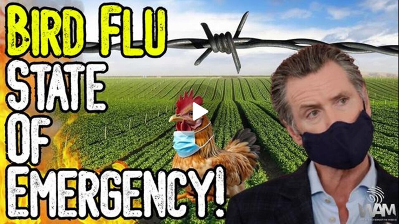 BIRD FLU STATE OF EMERGENCY! - Fauci Is Back As Latest Plandemic Hoax Continues!