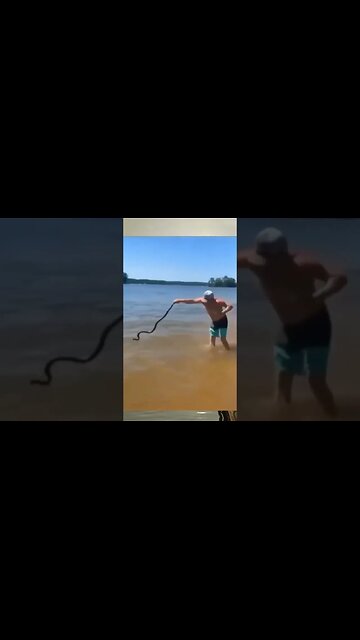 He nonchalantly just threw it away #waterlife #wateranimals #nofear #nofears